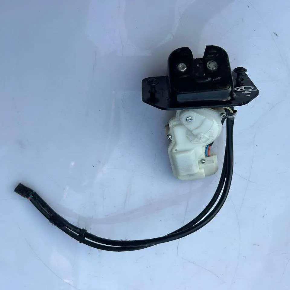 Trunk Lock - 2016 Ford Escape