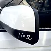 Side Mirror (LH) - 2012 Land Rover RANGE ROVER SPORT
