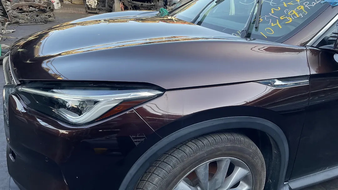 Hood/Bonnet - 2020 Infiniti QX50
