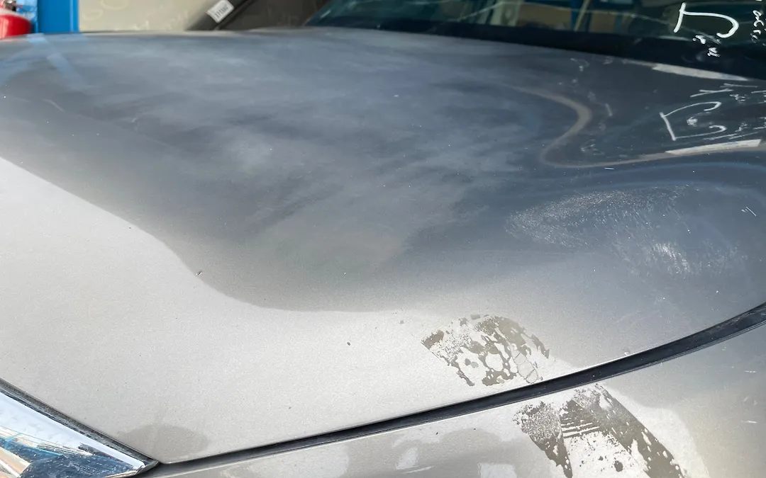 Hood/Bonnet - 2013 Infiniti QX56