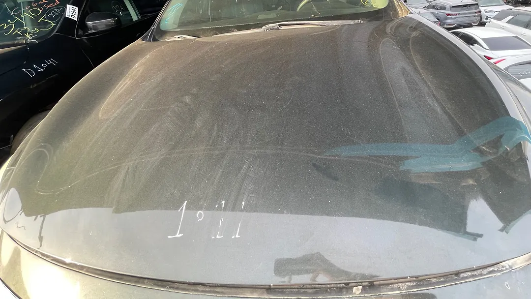 Hood/Bonnet - 2013 Infiniti JX35