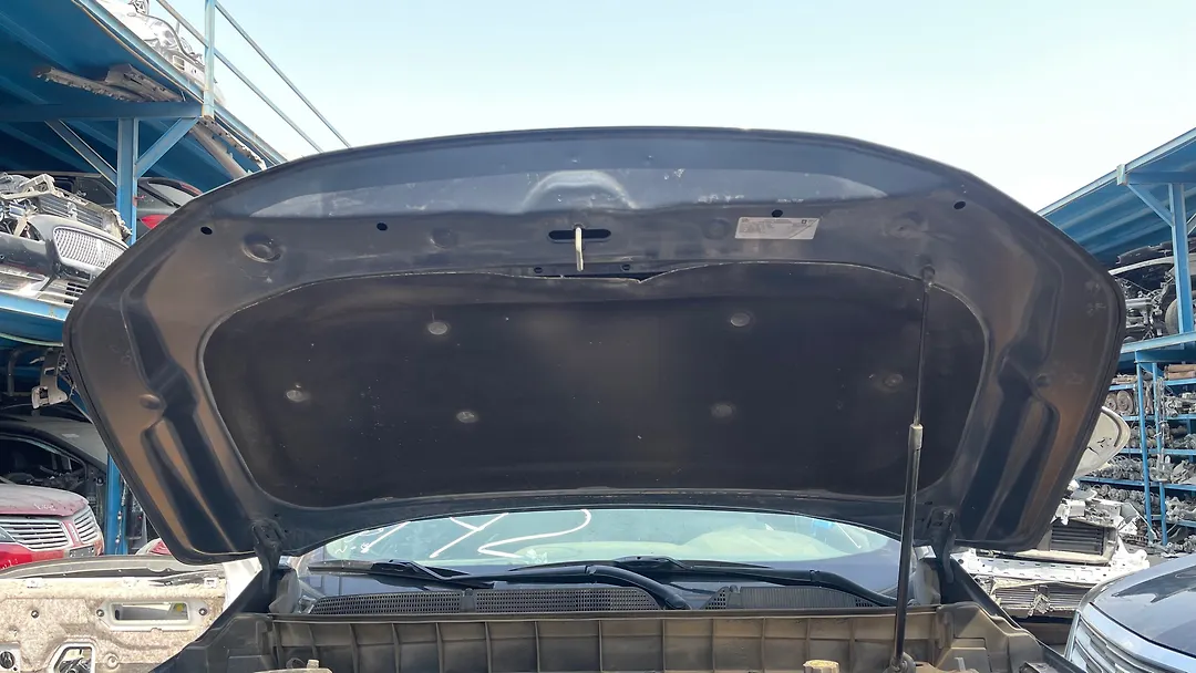 Hood/Bonnet - 2019 GMC Acadia