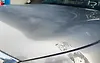 Hood/Bonnet - 2013 Infiniti QX56