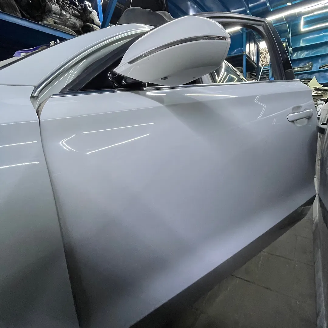 Door (LHF) - 2014 Audi A8 L