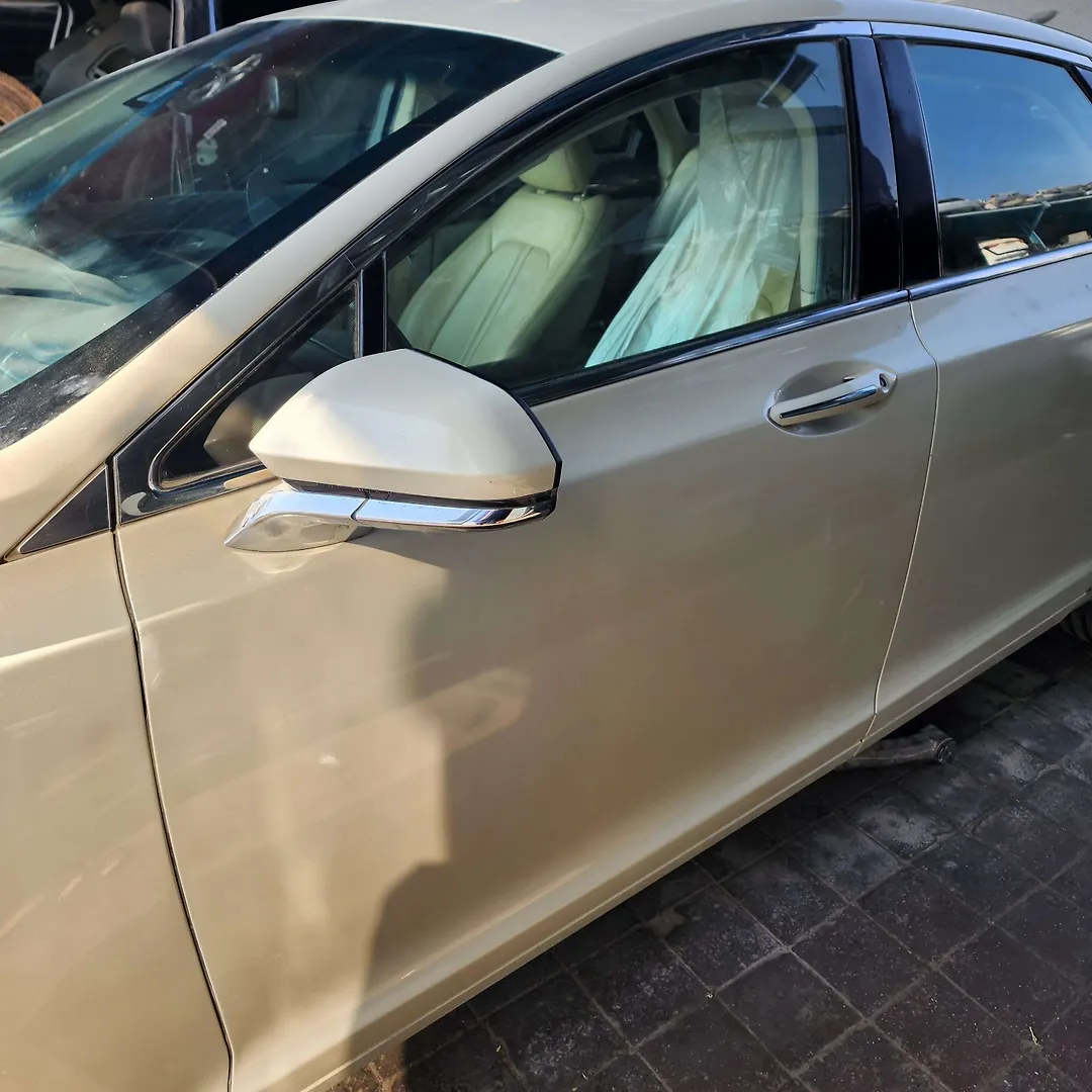 Door (LHF) - 2015 Lincoln MKZ