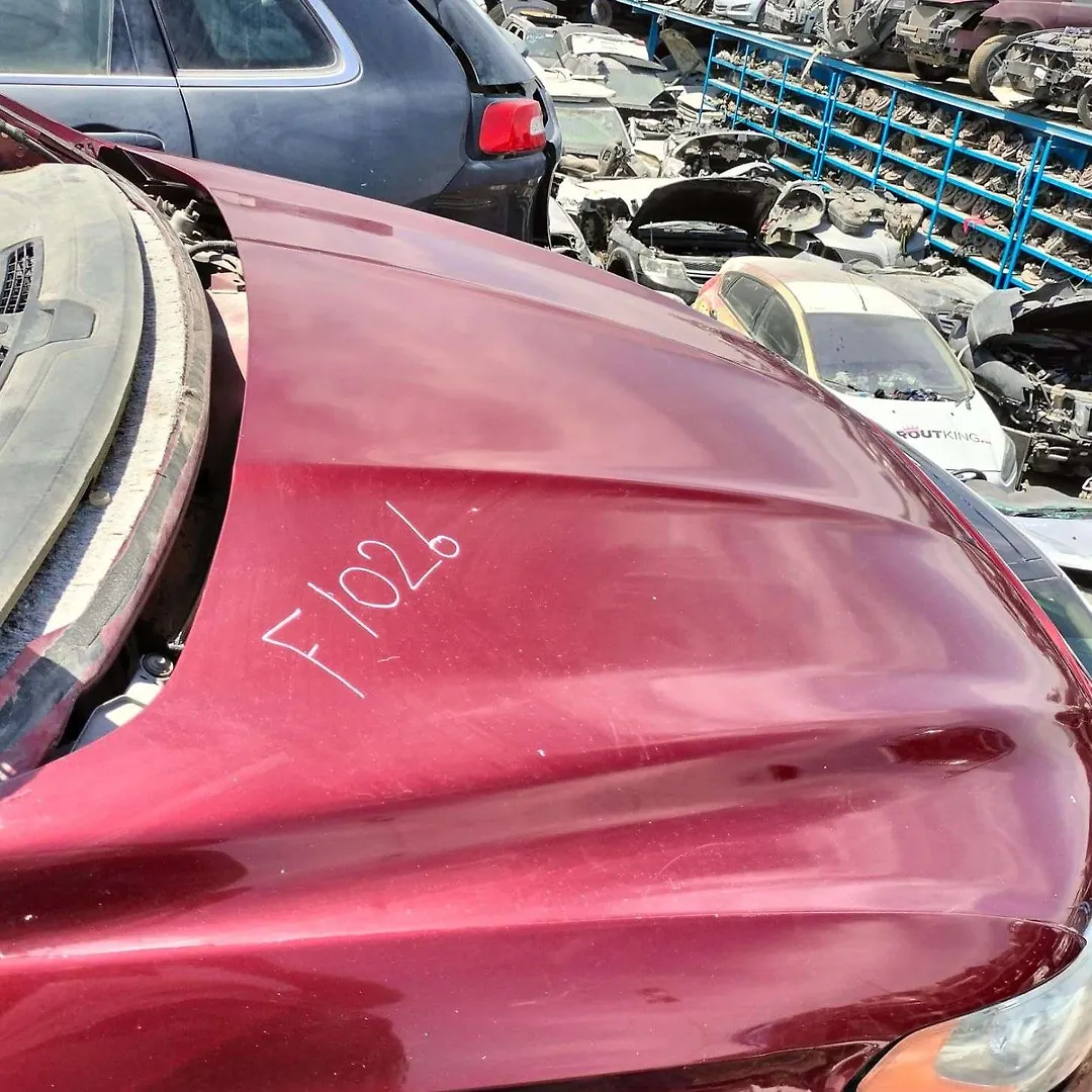 Hood/Bonnet - 2017 Ford Fusion