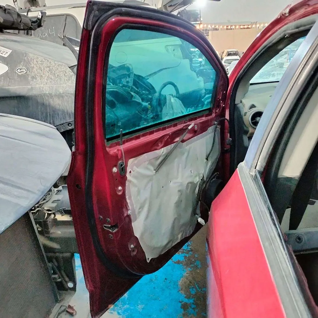 Door (LHF) - 2013 Chevrolet Sonic