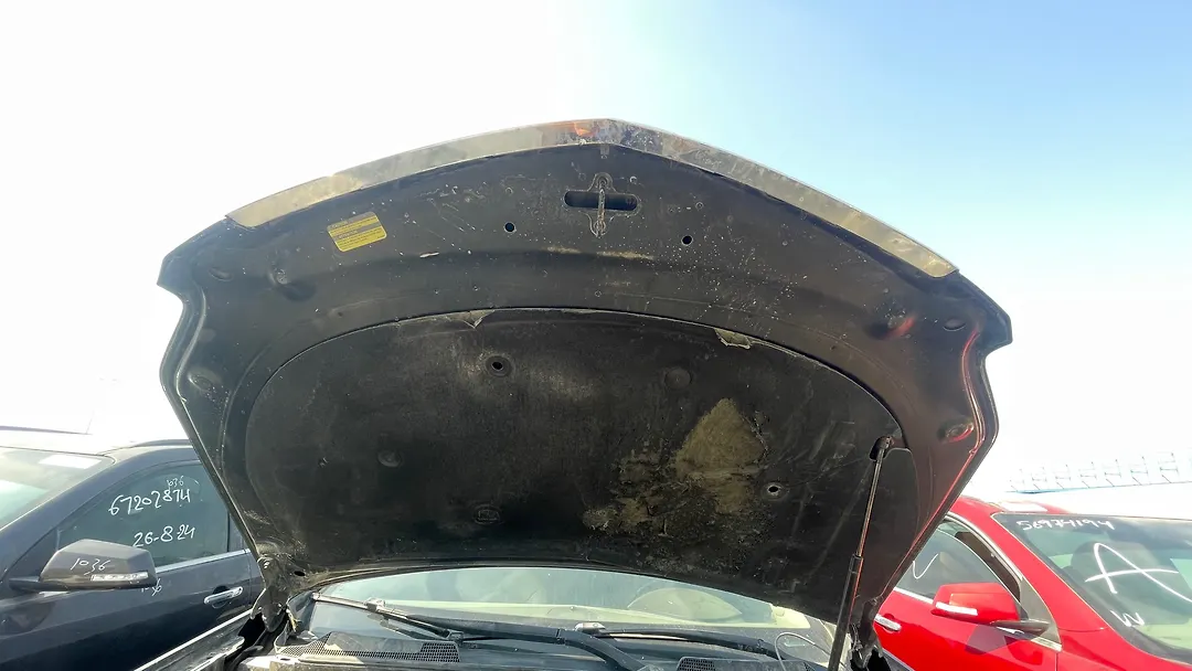 Hood/Bonnet - 2010 Cadillac SRX Premium