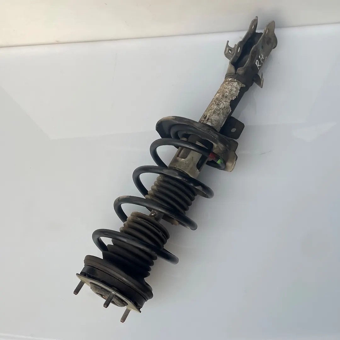 Shock Absorber (RHF) - 2013 Ford Taurus SEL