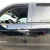 Door (LHF) - 2014 Chevrolet SILVERADO LT