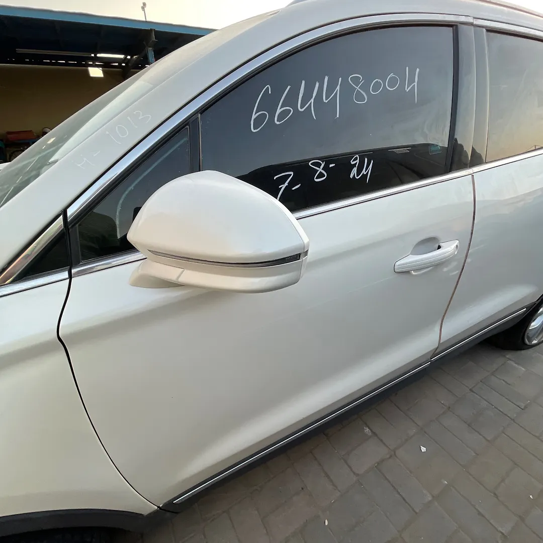 Door (LHF) - 2017 Lincoln MKC Select