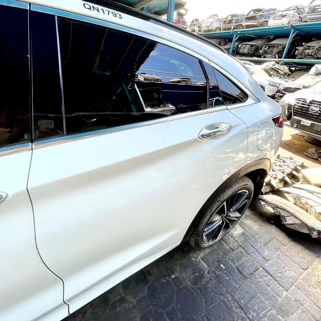 Door (LHB) - 2022 Infiniti QX55 GRADE ESSENTIAL