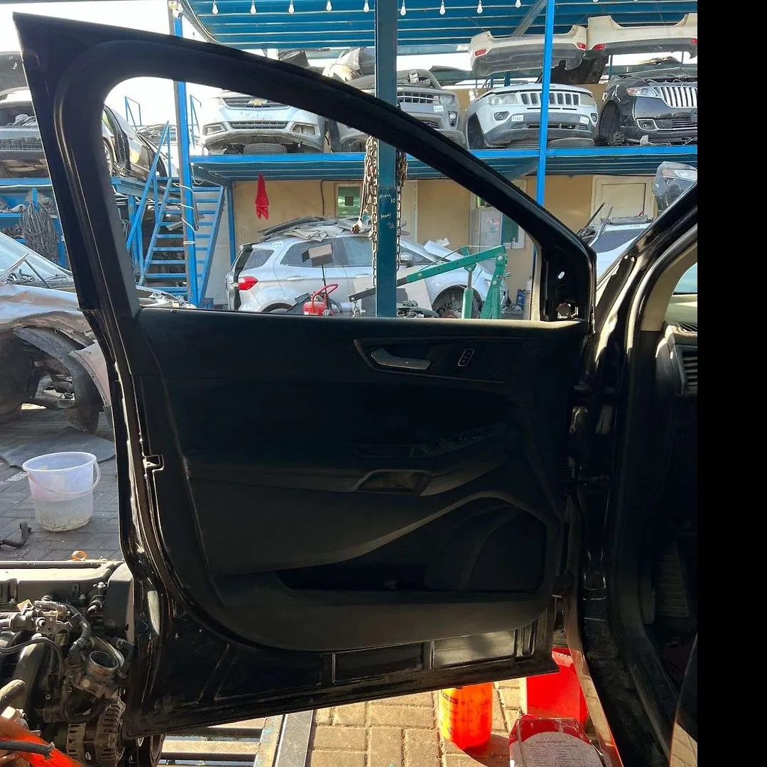 Door (LHF) - 2016 Ford Edge