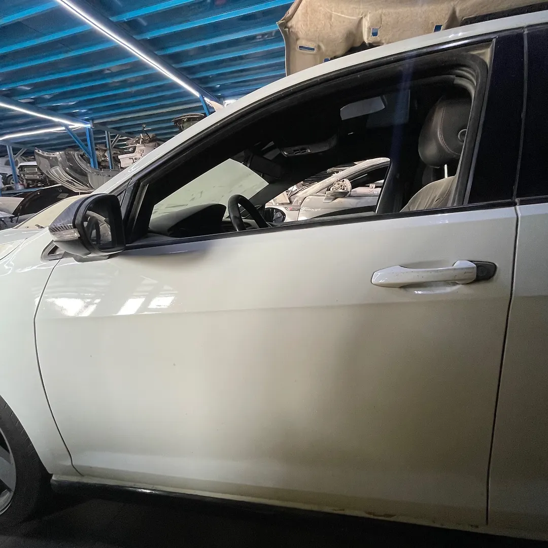 Door (LHF) - 2015 Volkswagen Golf