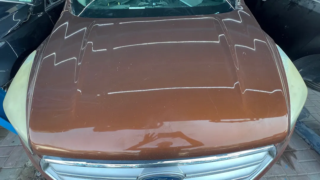 Hood/Bonnet - 2017 Ford Escape