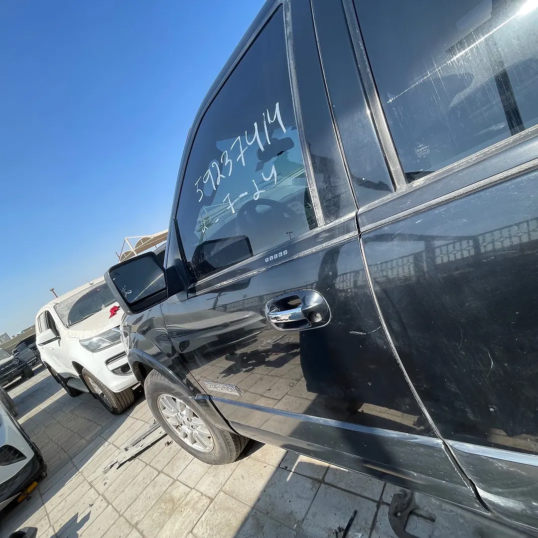 Door (LHF) - 2008 Ford Expedition XLT