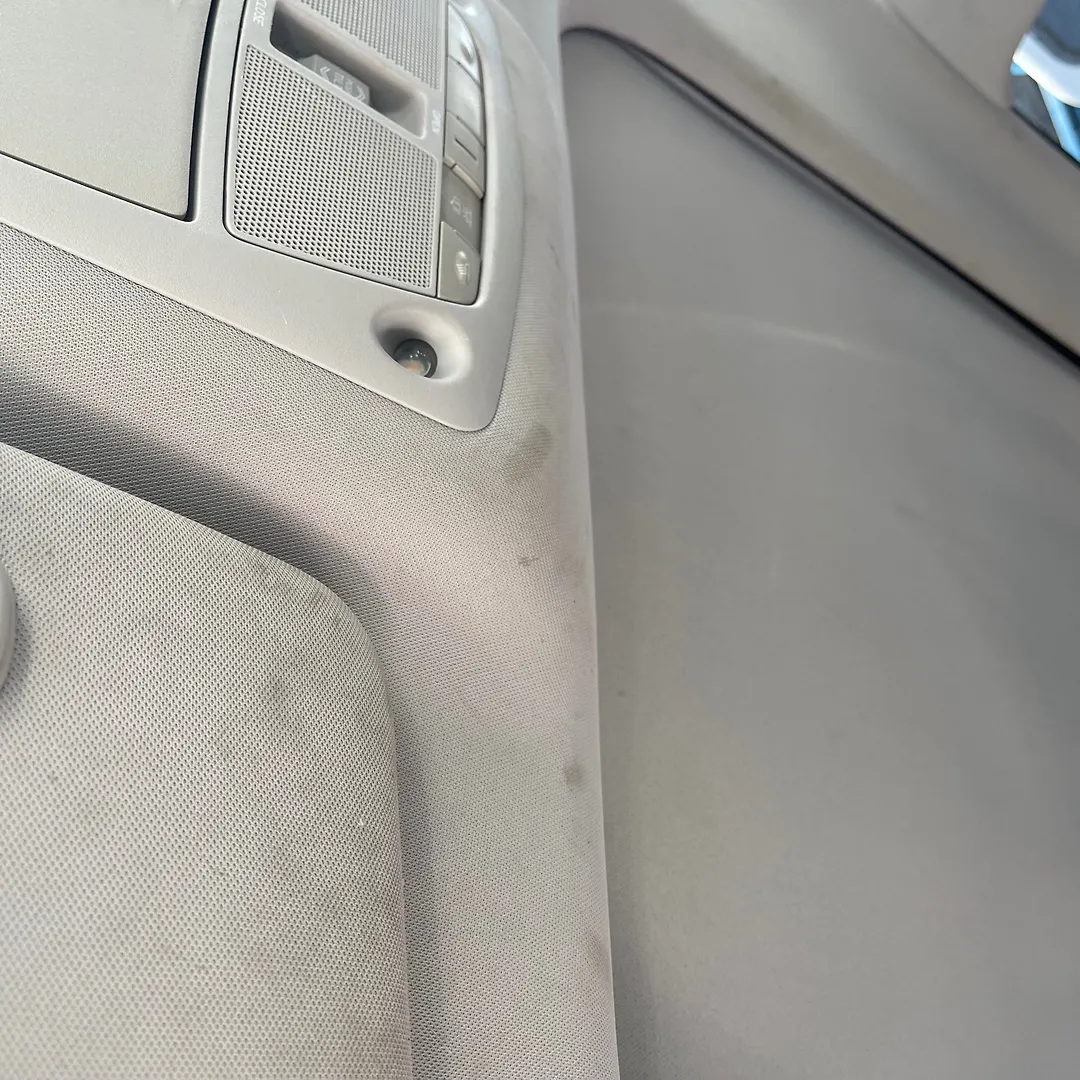 Roof Ceiling - 2015 Nissan Murano