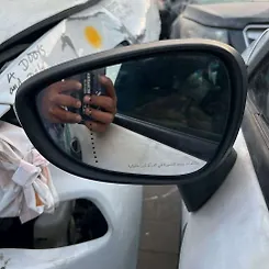 Side Mirror (LH) - 2015 Ford Fiesta