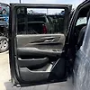 Door (LHB) - 2019 Cadillac ESCLAE