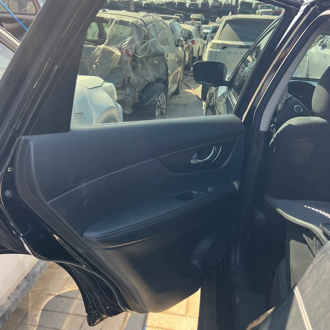 Door (LHB) - 2015 Nissan Rogue