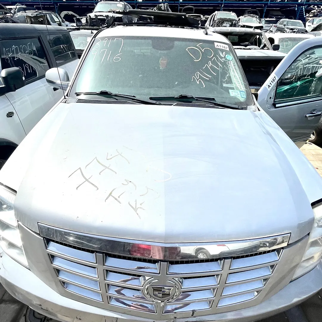 Hood/Bonnet - 2011 Cadillac Escalade Luxury