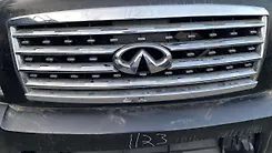 Front Bumper - 2010 Infiniti QX56 5.6i