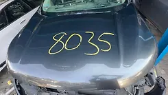 Hood/Bonnet - 2017 Ford Edge