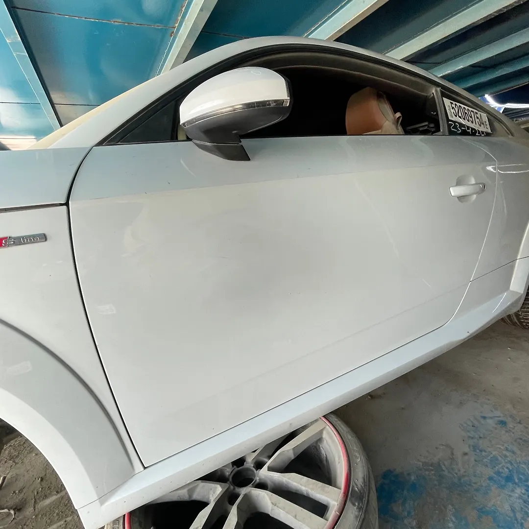 Door (LHF) - 2016 Audi TT QUATTRO