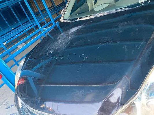 Hood/Bonnet - 2015 Infiniti QX50