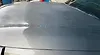 Hood/Bonnet - 2013 Infiniti QX56