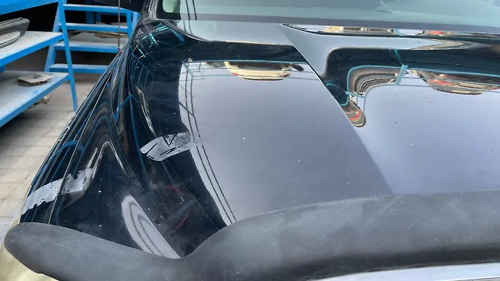 Hood/Bonnet - 2008 Toyota Tundra SR5