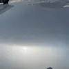 Hood/Bonnet - 2014 Infiniti QX56