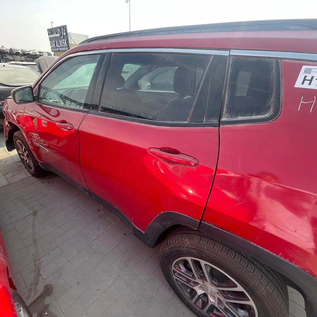 Door (LHB) - 2019 Jeep Compass