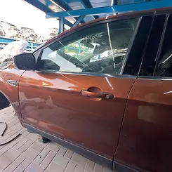 Door (LHF) - 2017 Ford Escape