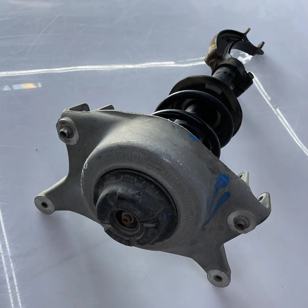 Shock Absorber (LHF) - 2011 Audi Q5