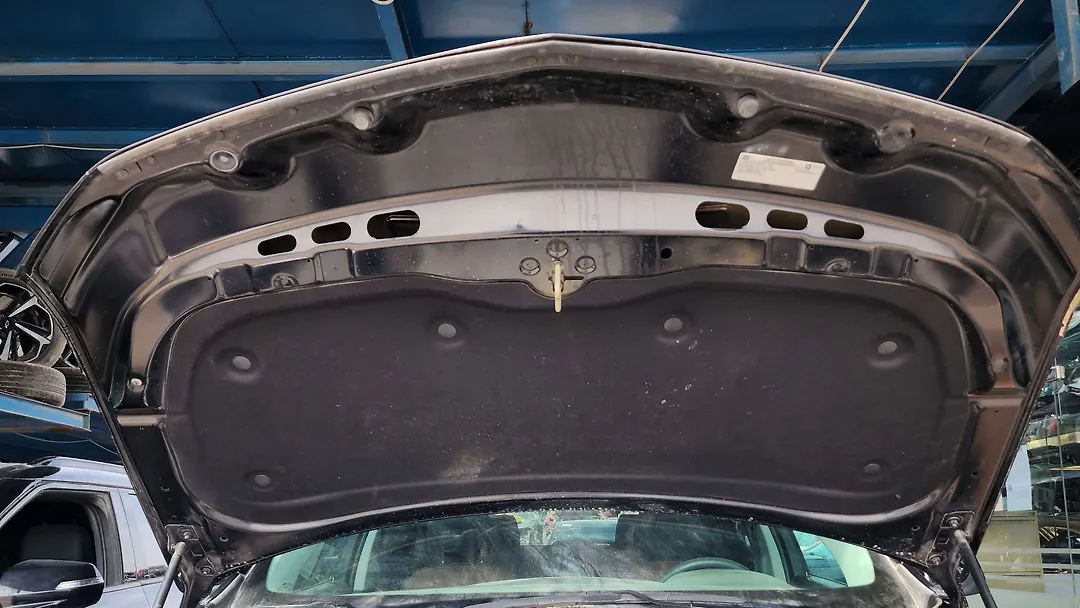Hood/Bonnet - 2021 Chevrolet Traverse LS