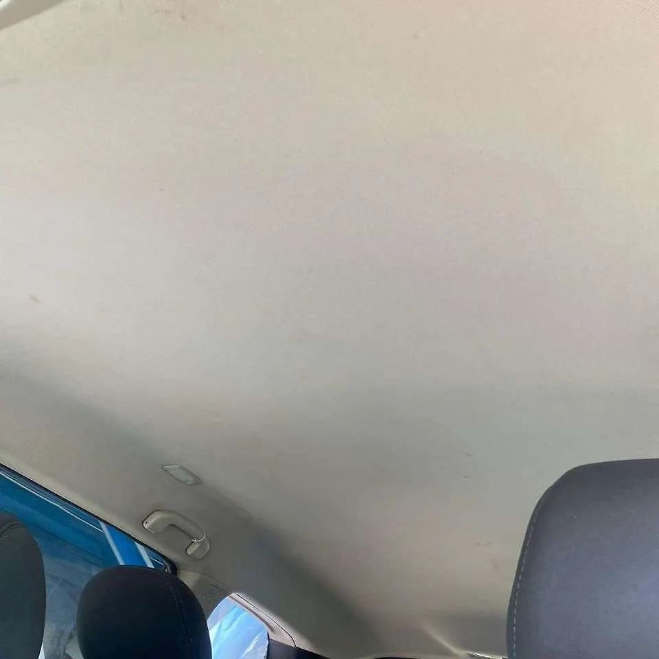 Roof Ceiling - 2017 Nissan Pathfinder