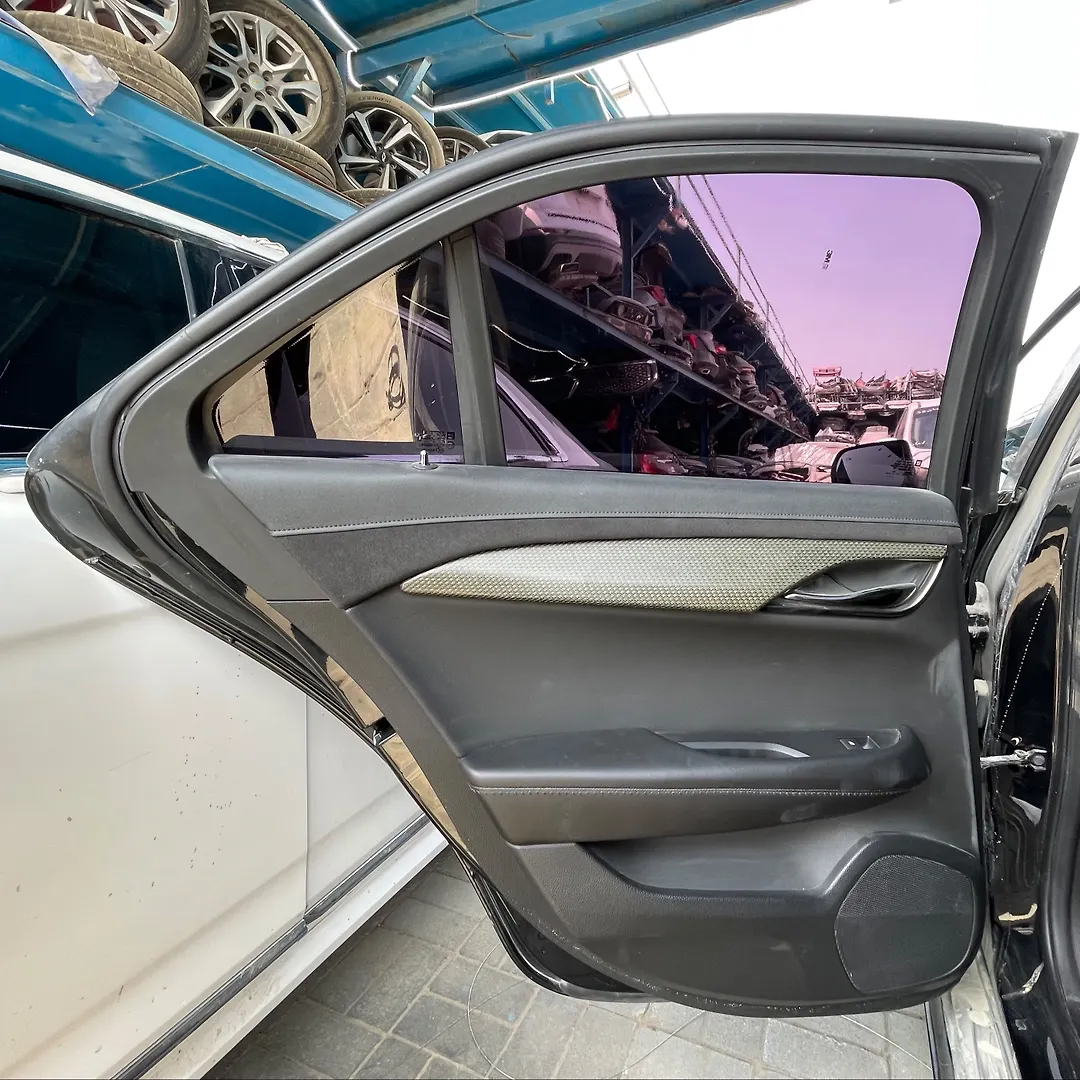 Door (LHB) - 2018 Cadillac ATS-V