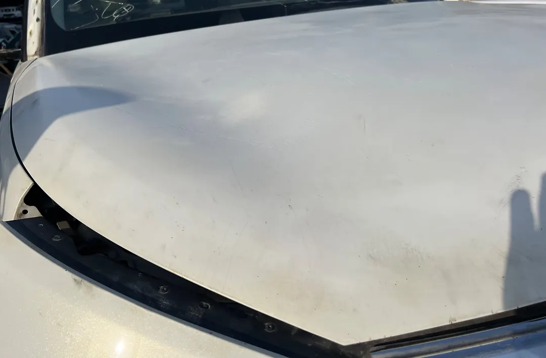Hood/Bonnet - 2013 Infiniti QX56