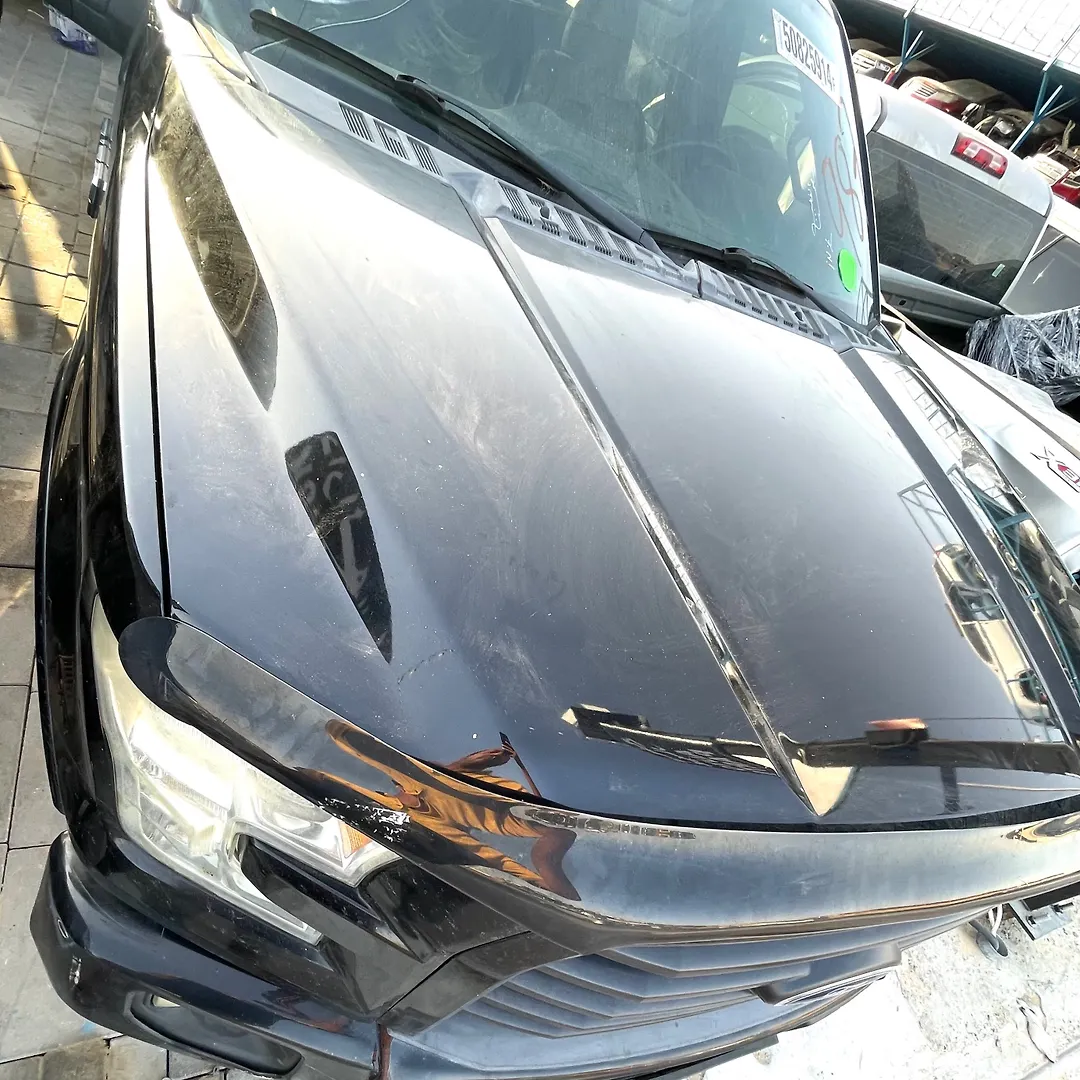 Hood/Bonnet - 2016 Ford F-150