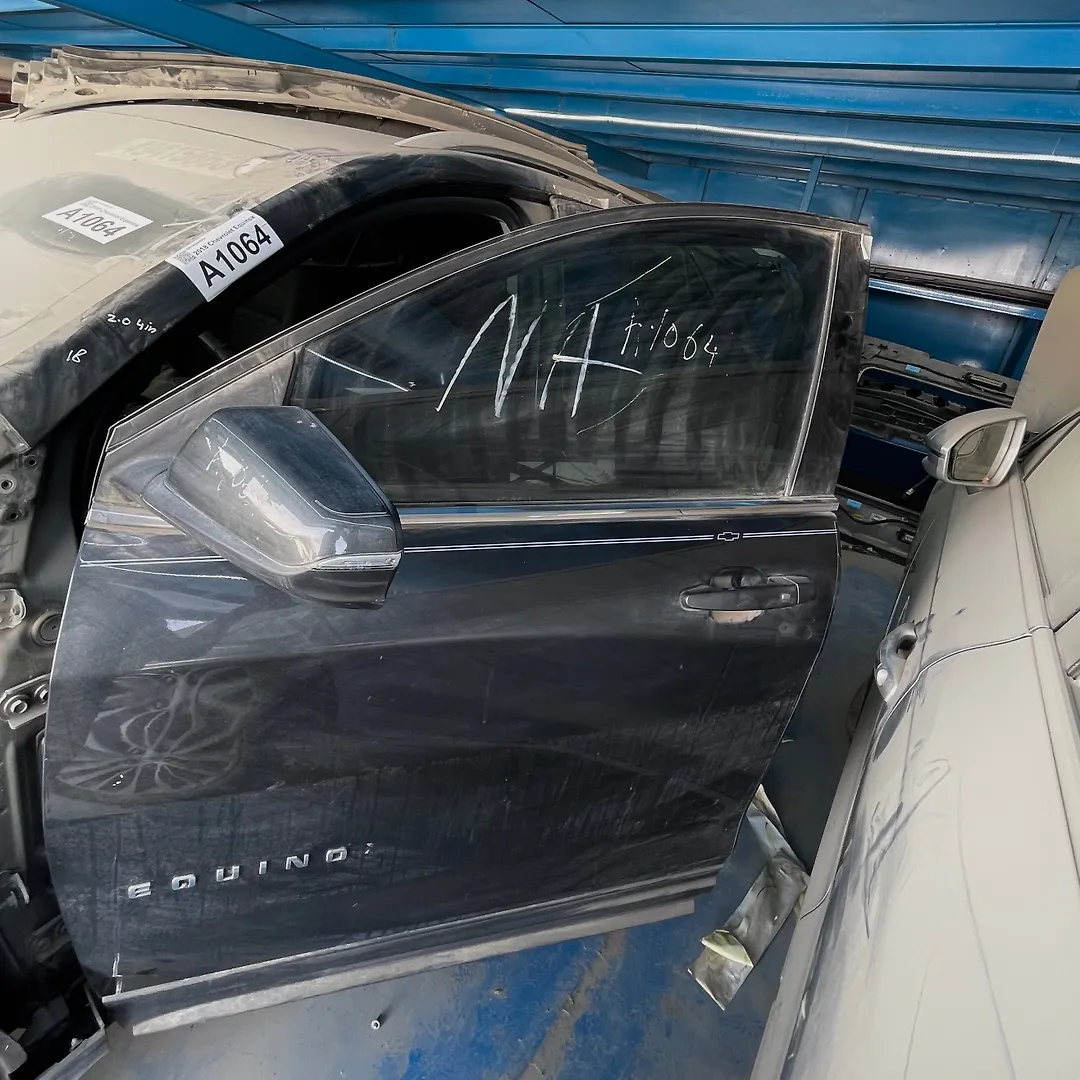 Door (LHF) - 2018 Chevrolet Equinox