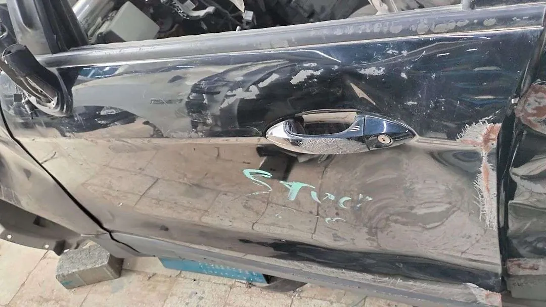 Door (LHF) - 2018 Ford EcoSport