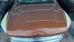 Hood/Bonnet - 2017 Ford Escape