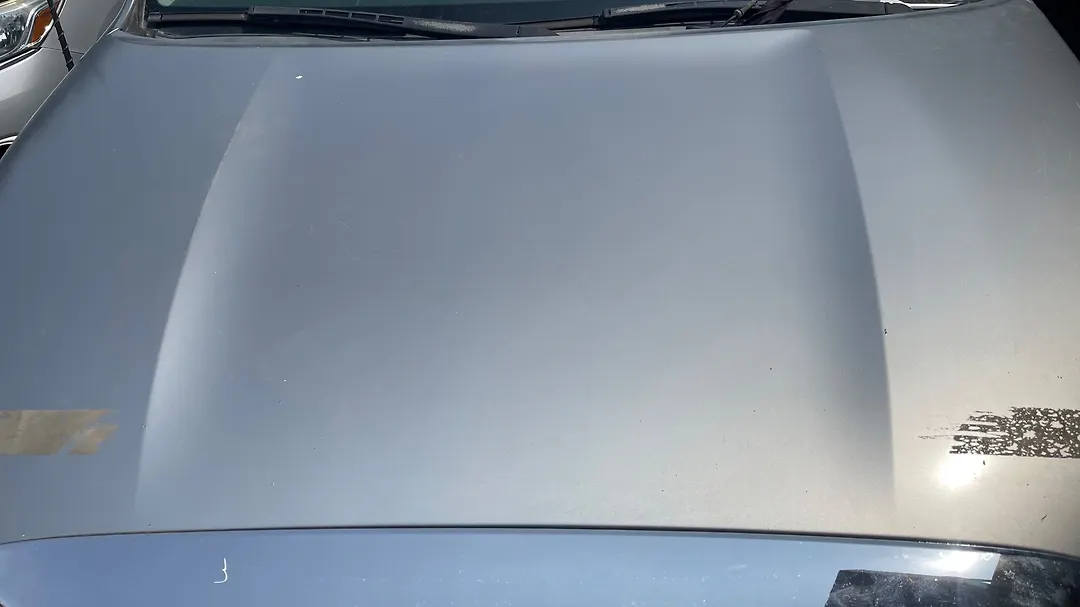 Hood/Bonnet - 2010 Toyota Tundra