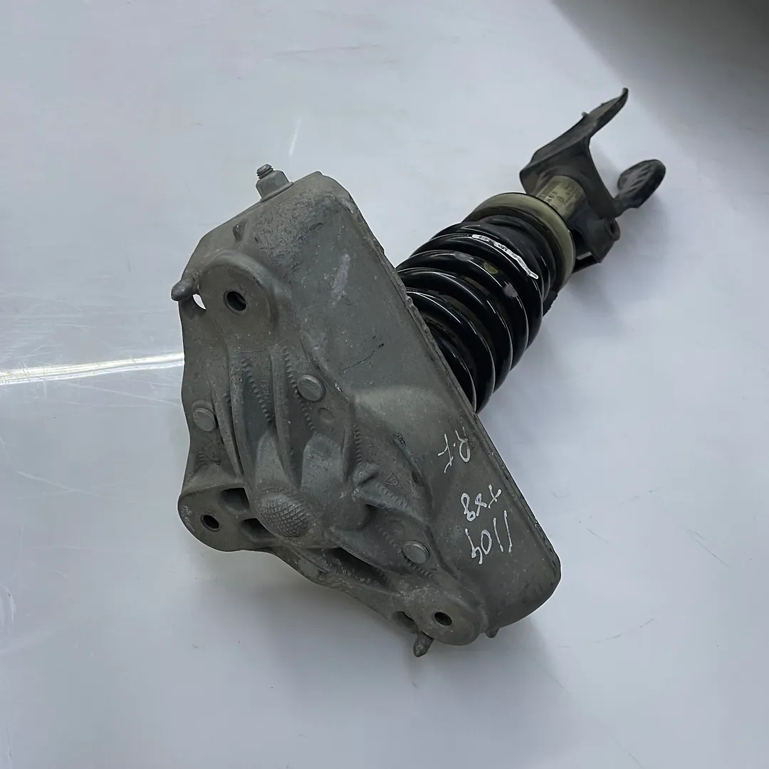 Shock Absorber (RHF) - 2009 Volkswagen Touareg