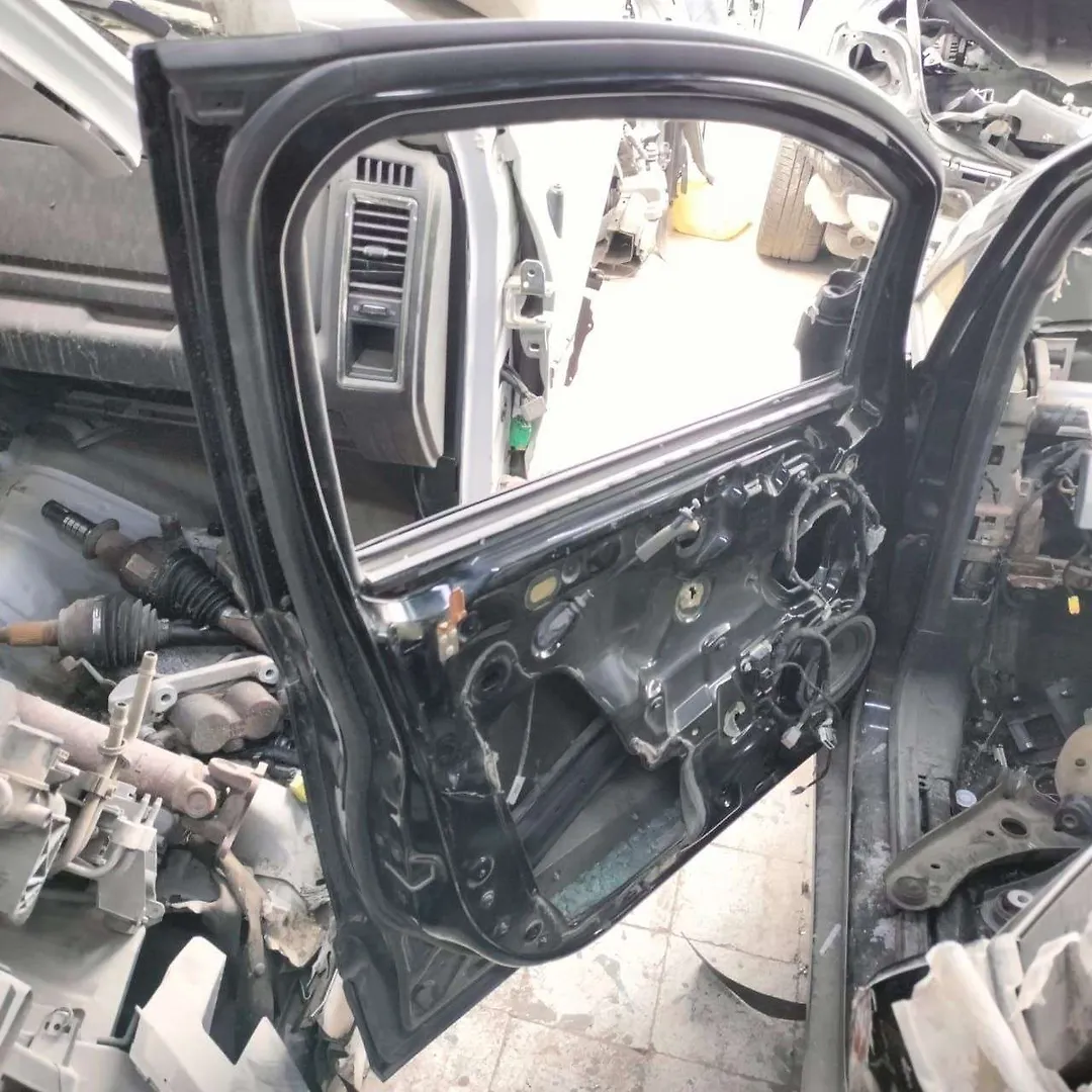 Door (LHF) - 2018 Ford EcoSport