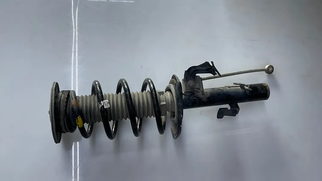 Shock Absorber (LHF) - 2013 Land Rover Range Rover Evoque