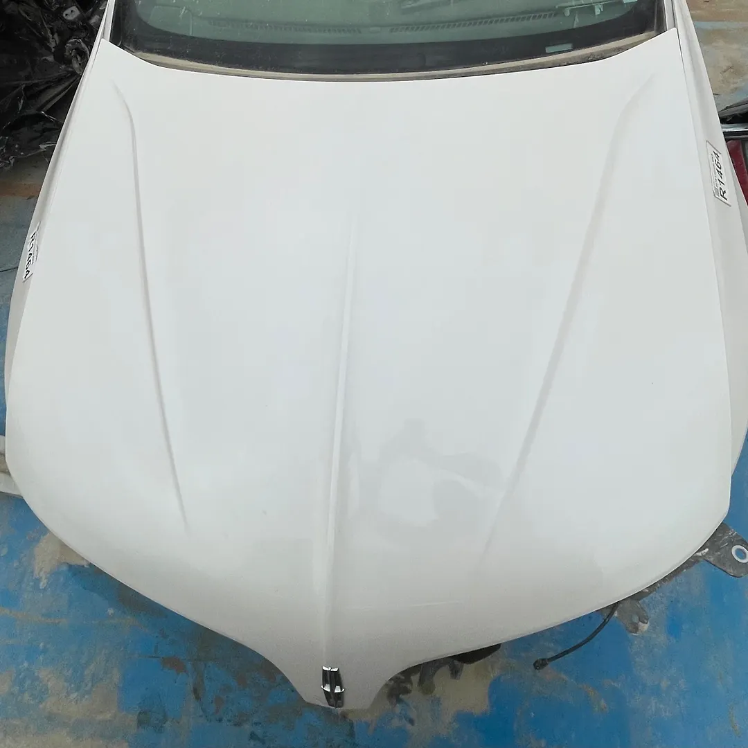 Hood/Bonnet - 2015 Lincoln MKS 