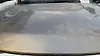 Hood/Bonnet - 2011 Infiniti QX56 5.6i