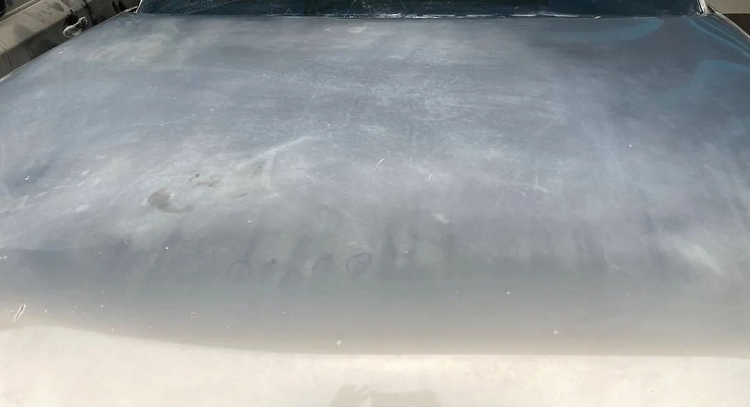 Hood/Bonnet - 2013 Infiniti QX56